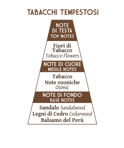 Abbate Y La Mantia Garibaldi