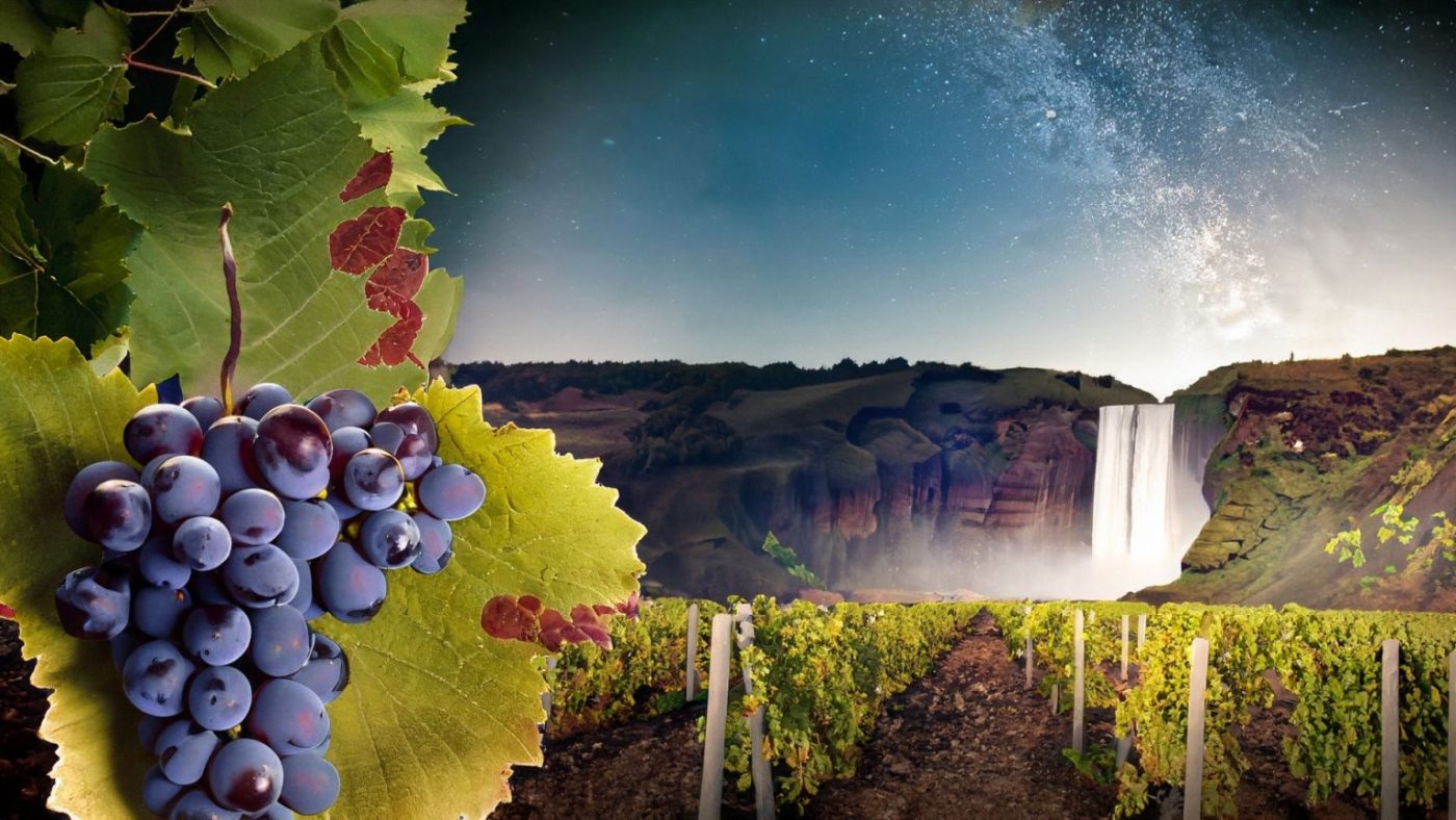 fufluns banner abbateylamantia 1536x864 1