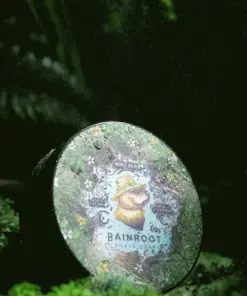 Noble Otter Rainroot Parranajosaippua